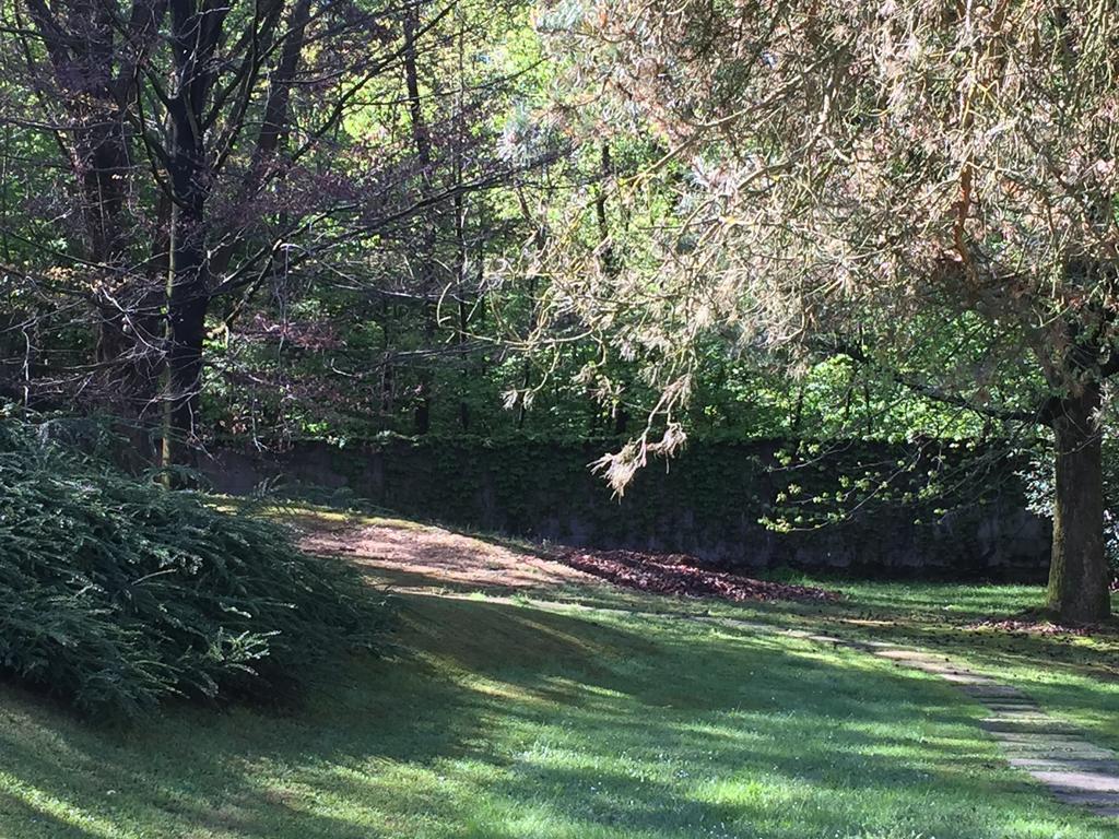 Bed&garden
