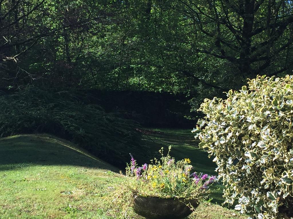Frühstückspension Bed&garden Cesate